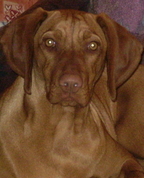 303389_14897_profile