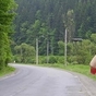 330326_96541_card