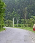 330326_96541_profile