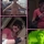 330629_31248_mini