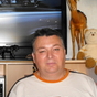 342273_90681_card