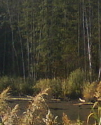 343740_37578_profile