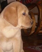 353253_57495_profile