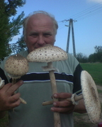 353723_99029_profile