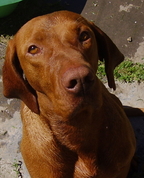 353819_18948_profile