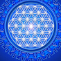 350468_25425_card