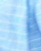 363115_65025_profile