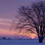 363528_65716_card