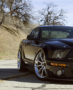 363777_36469_profile