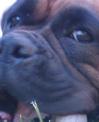 366731_83869_profile