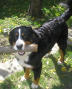 367562_14033_profile