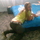 373735_54310_mini