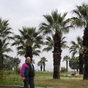 376701_71187_card