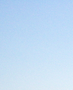 377425_83510_profile