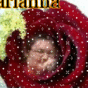 377464_15061_card