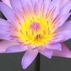 307843_49025_tiny