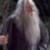 37049_173997_tiny