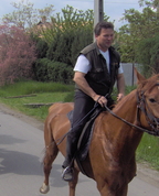 381236_24929_profile