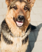 383830_64026_profile