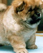 388300_19267_profile