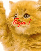 393005_59856_profile