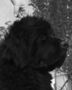 393446_88328_profile