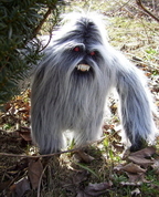 393525_48882_profile