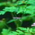 398408_37558_tiny