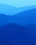 399212_46489_profile