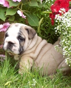 300435_75439_profile