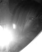 411718_59568_profile