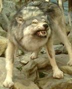 411883_84067_profile