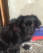 414204_24667_profile