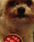 414855_27567_profile