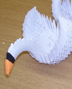 424251_66980_profile