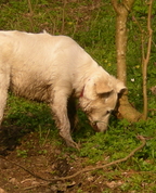424464_17314_profile
