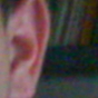 434820_53117_card