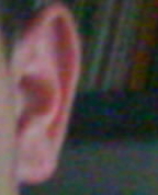434820_53117_profile