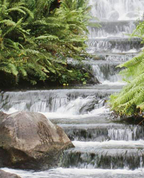 436007_28949_profile