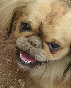 441474_18542_profile