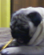 441638_88152_profile