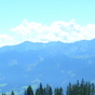 442619_11267_card