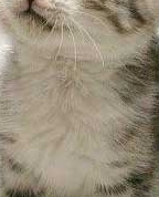 442642_37086_profile