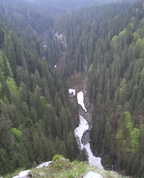 442848_49178_profile