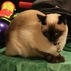 443775_74957_tiny