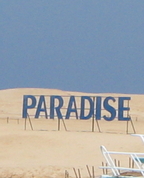 443793_55645_profile