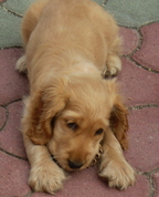 444382_52283_profile