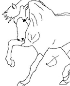 444879_52163_profile