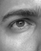 445137_63602_profile