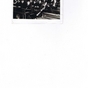 446415_93526_card